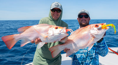 Next-Gen Reef Fishing with the New Live Ops Range
