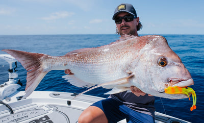 Snapper Smart: Live Ops Tactics & Techniques