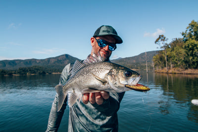 Targeting Bass with the Swimtrex lipless crankbait