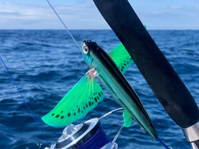 How to change the wings on a Slipstream Flying Fish