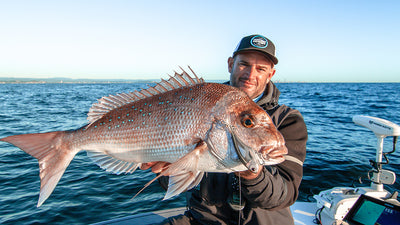 Catching snapper on Vertrex soft vibes
