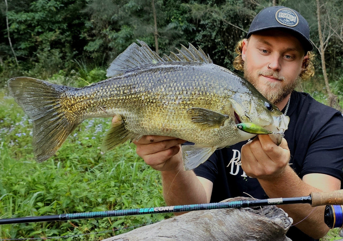 Back to Bassics: Chasing Aussie Bass with Nomad Design
