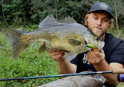 Back to Basics: Chasing Aussie Bass with Nomad Design