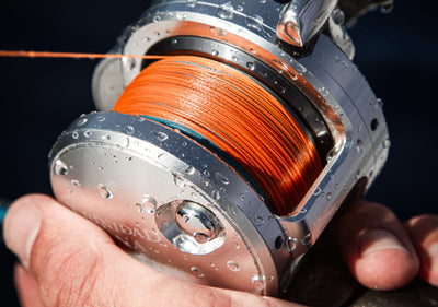 What Nomad Design Line Should I Choose?