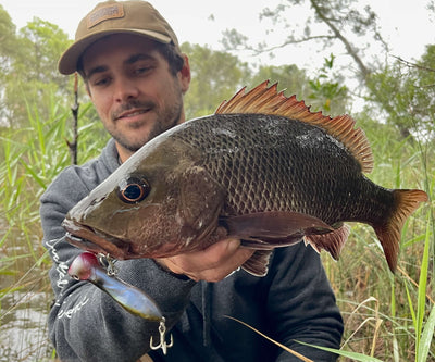 Nomad Design Chug Norris 72 Popper