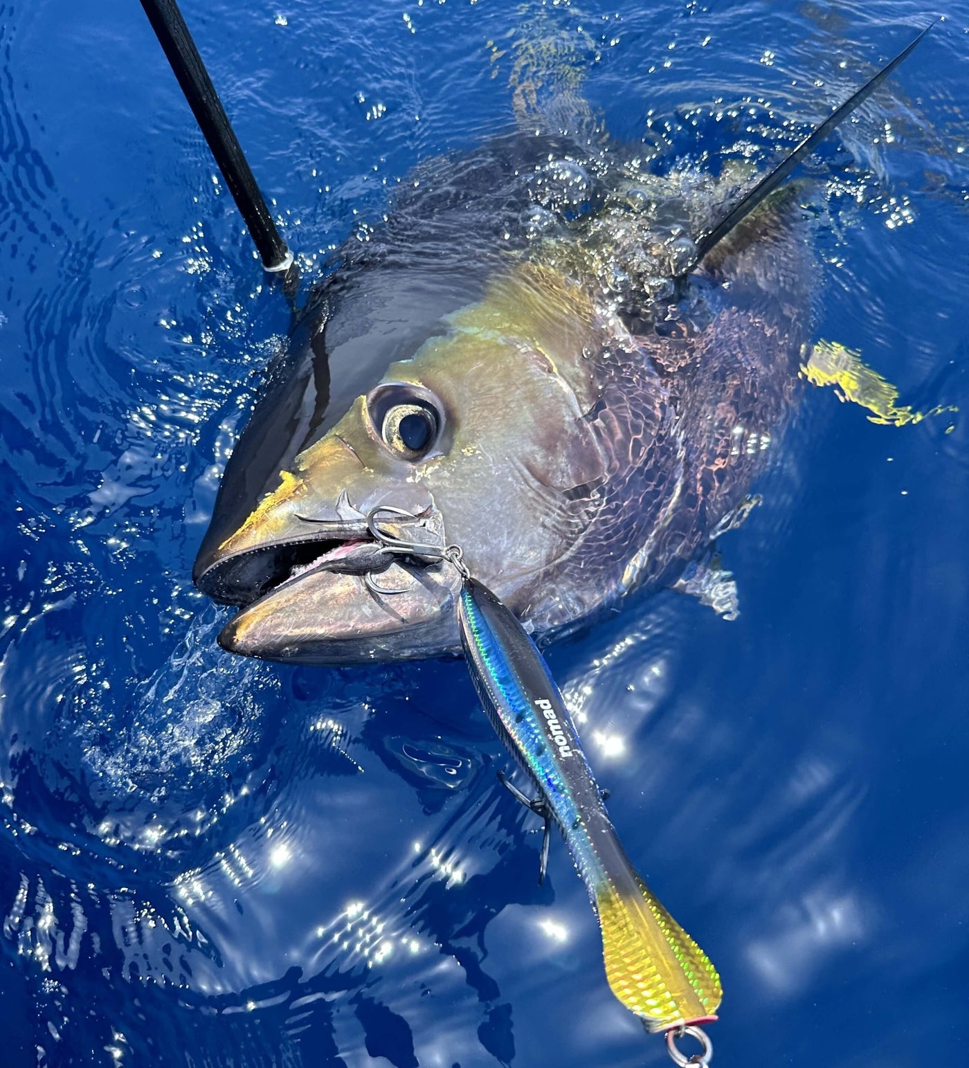 How to Use the Nomad Design Dartwing