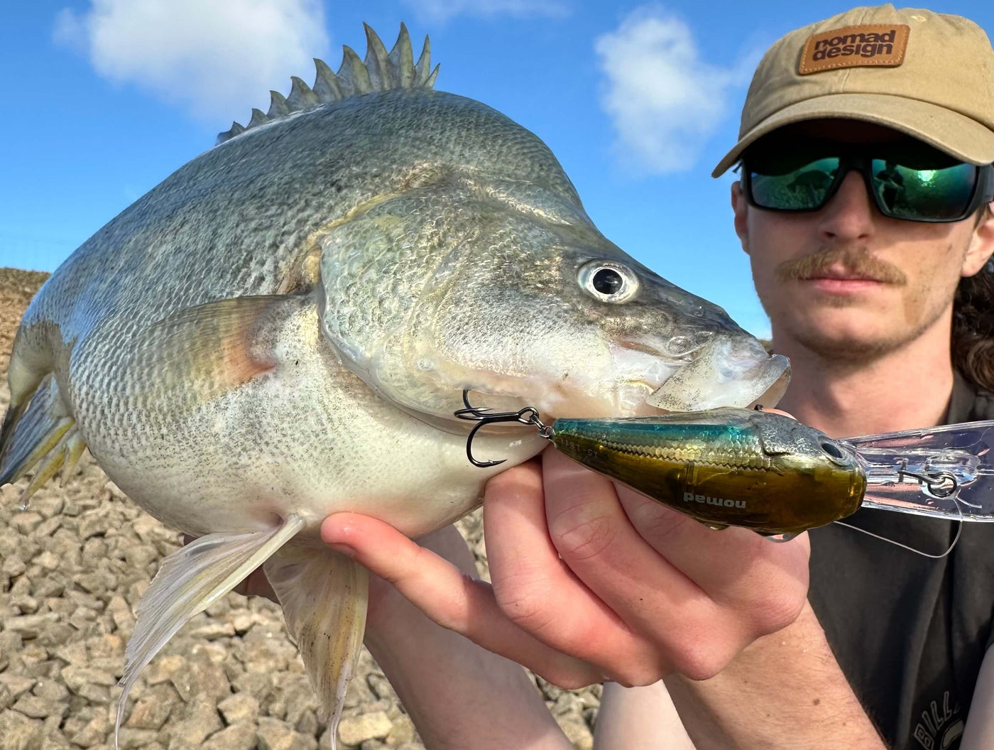 Nomad Design D-Trak Deep Crankbait
