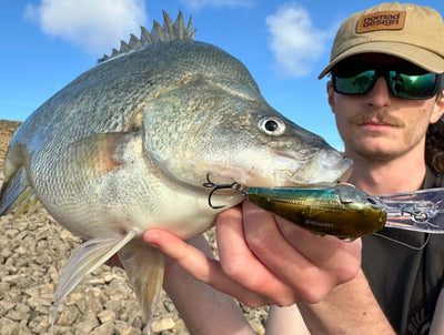 Nomad Design D-Trak Deep Crankbait