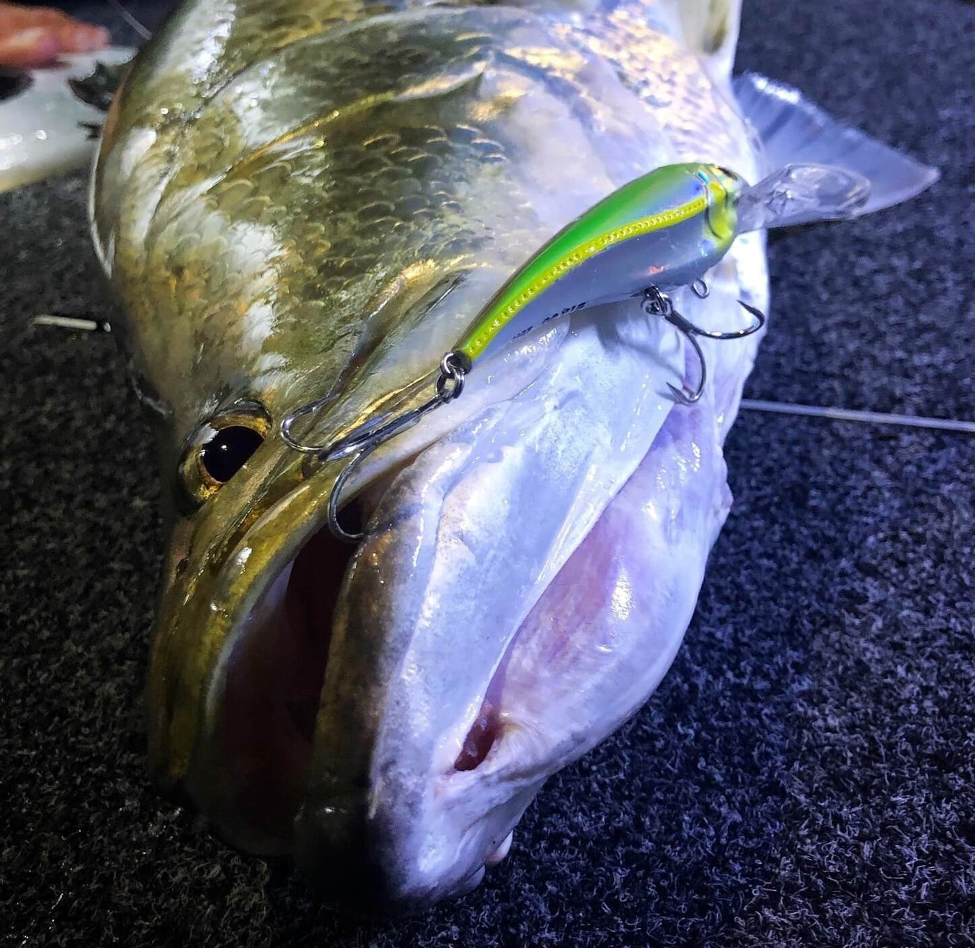 Targeting Barra with the Nomad Design DTX100