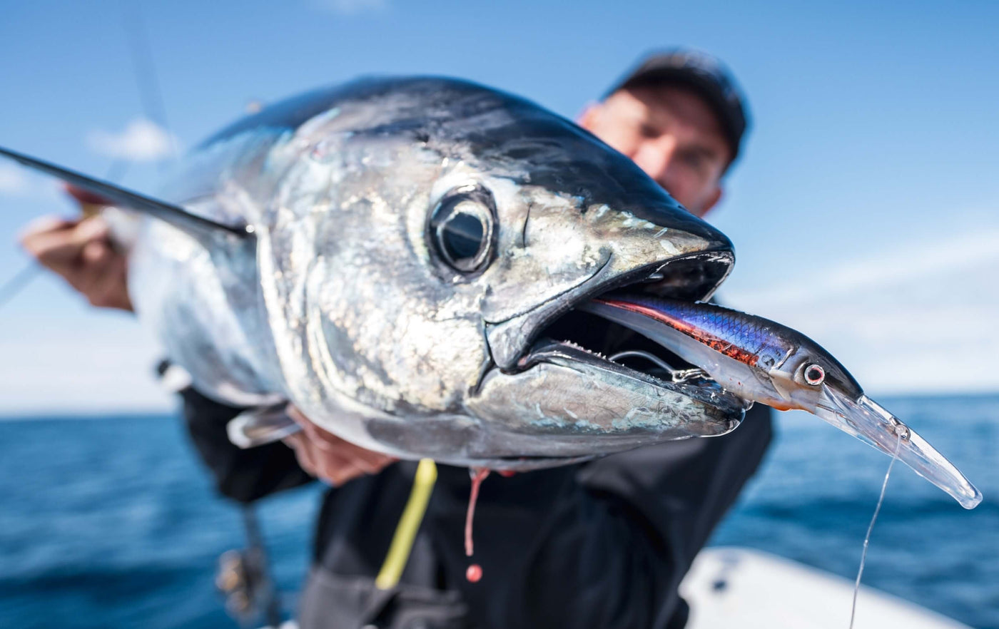 Nomad Design DTX Minnow 110 & 125 - Small Profile Big Fish