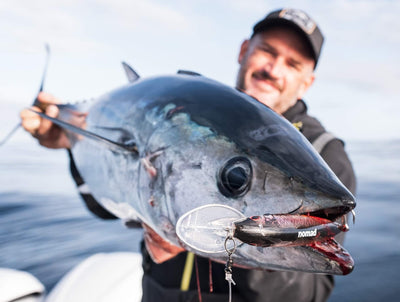 DTX Minnow 145 Shallow - Slow Speed Versatility