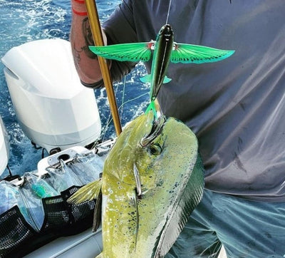 Rigging Options Slipstream Flying Fish Nomad Design
