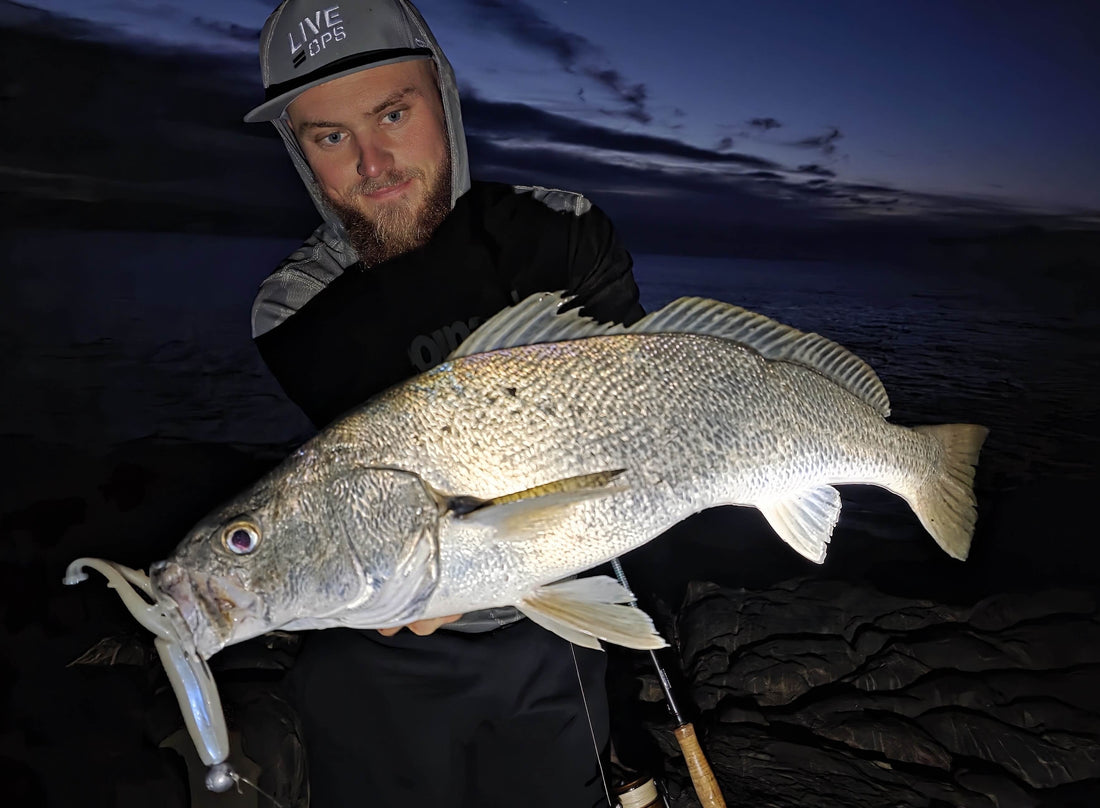Beach Mulloway on Lures: A Nomad Guide to Chasing Silver Giants