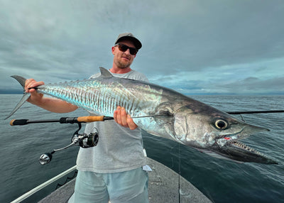 Nomad Design DTX - Mackerel Candy