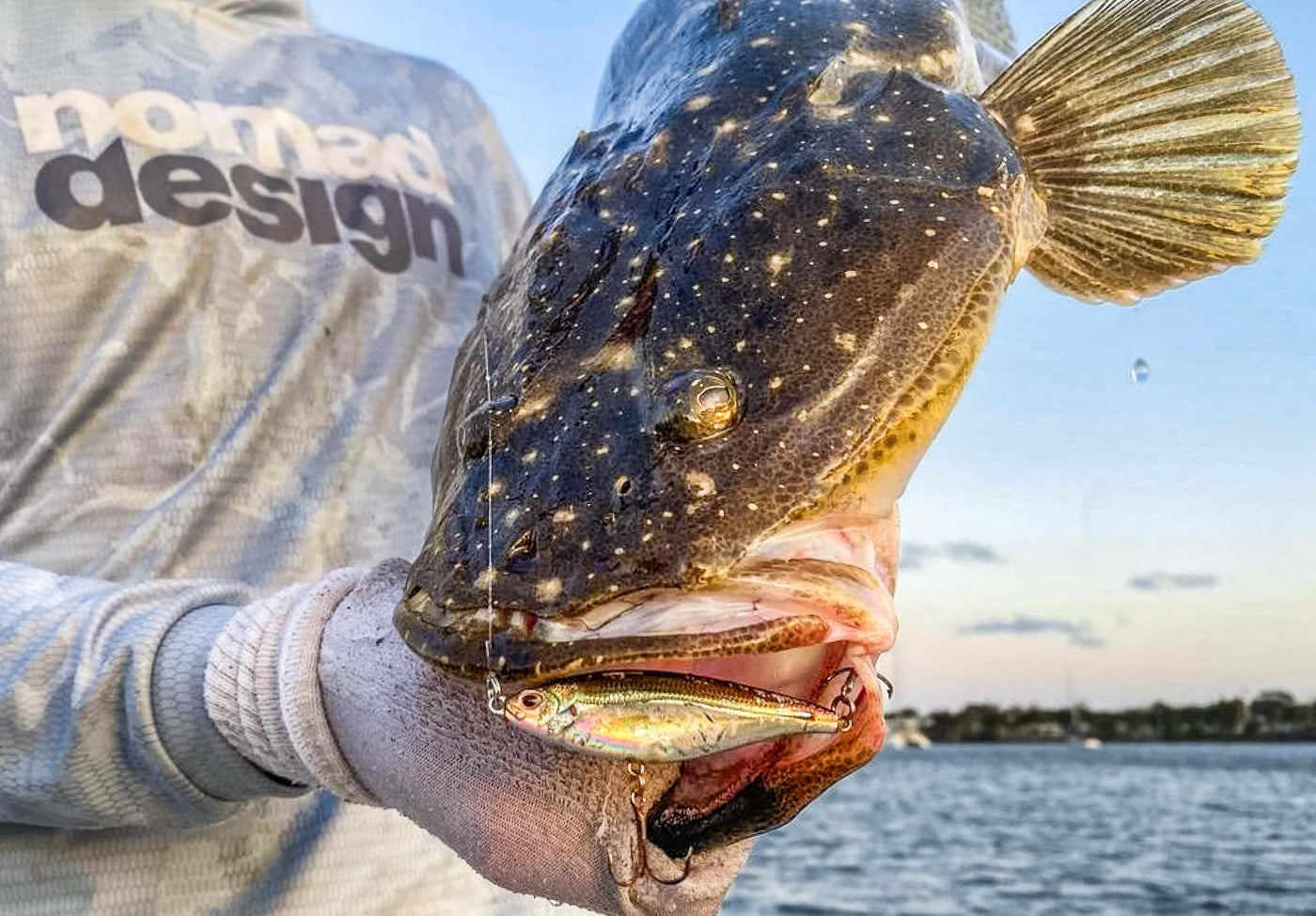 How to fish the Nomad Design Madscad AT™ Inshore