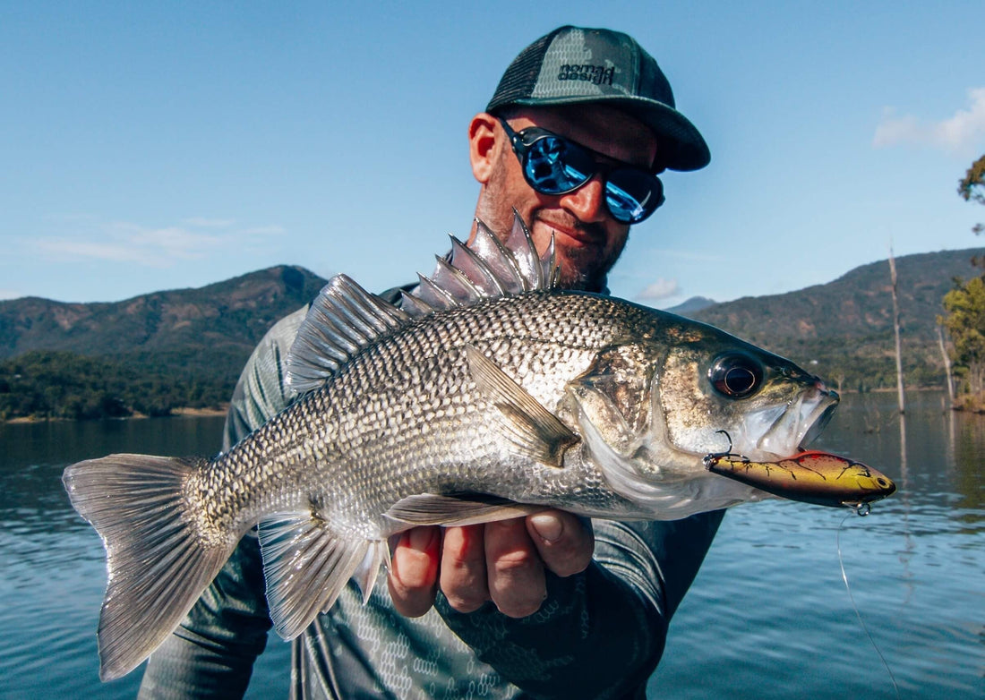 Targeting Bass with the Nomad Design Swimtrex Flutterfall