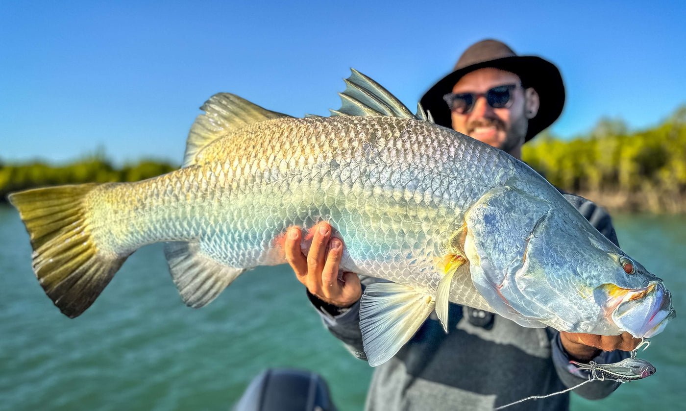 Vertrex Swim and Vertrex Max - The Soft Vibe Re-imagined