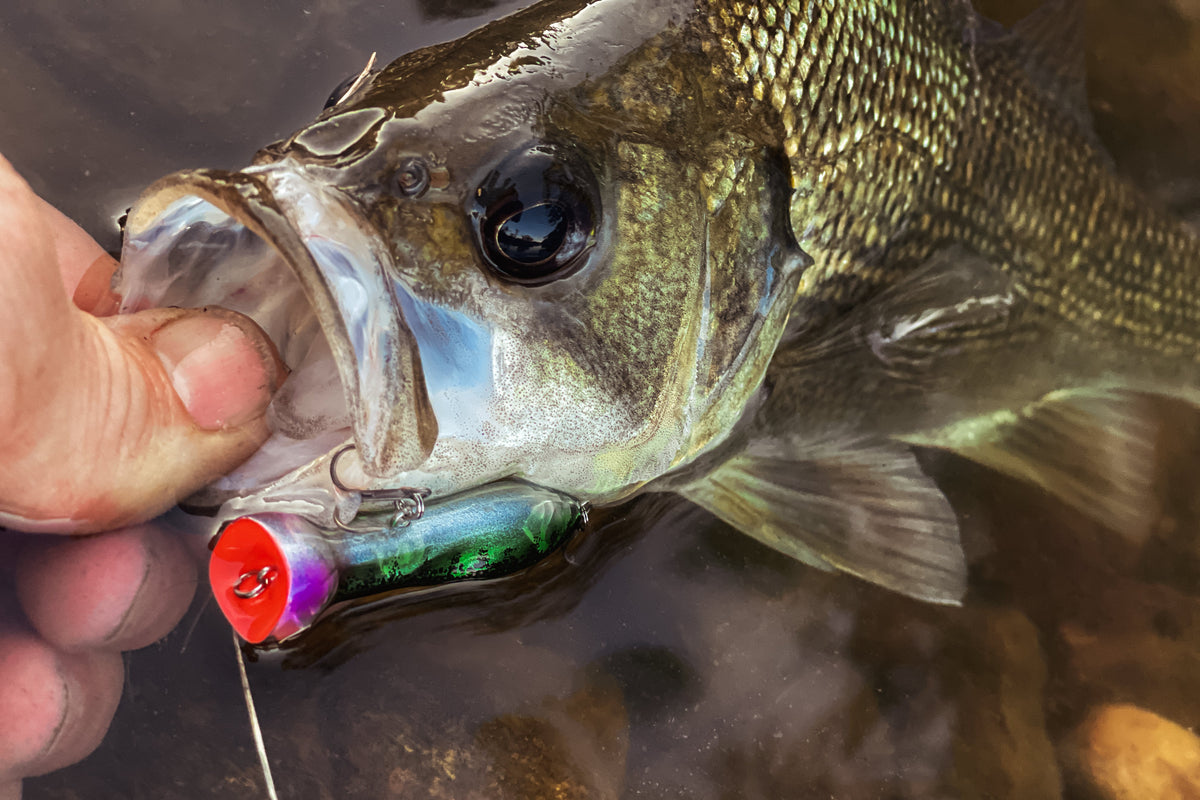 Bass Topwater Lures