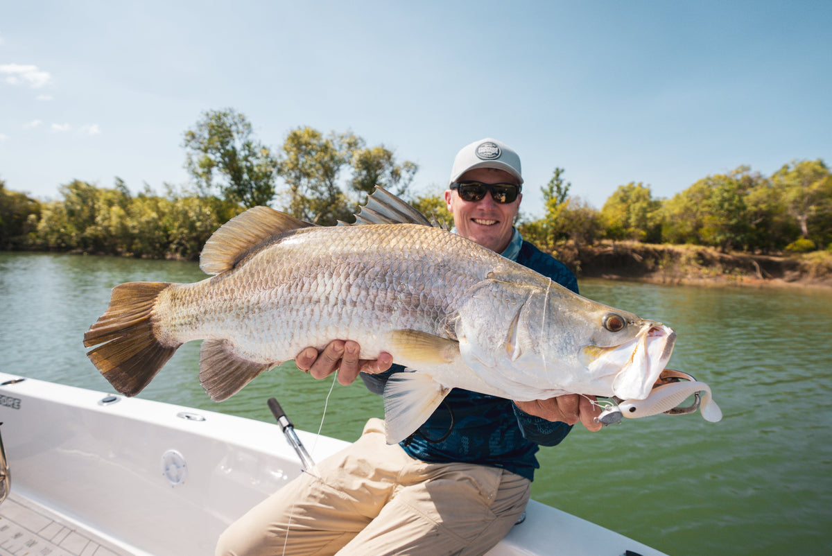 Live Ops Barramundi Collection