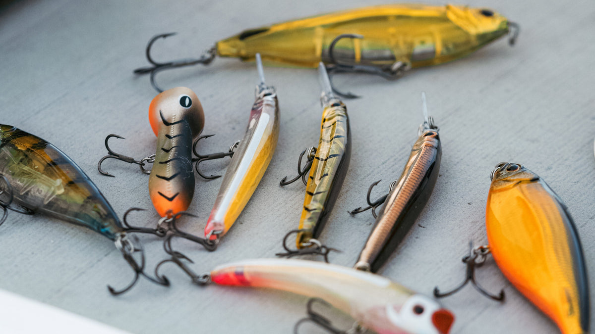 Light Estuary & Freshwater Casting
