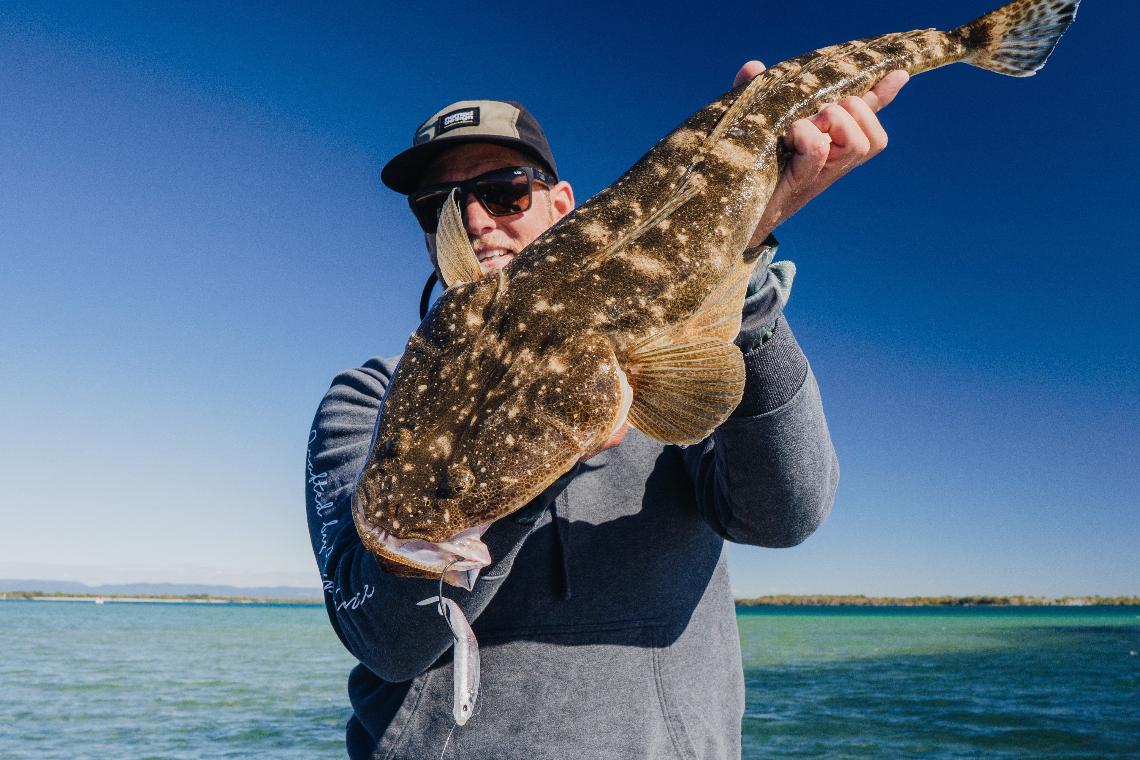 Live Ops Flathead Collection