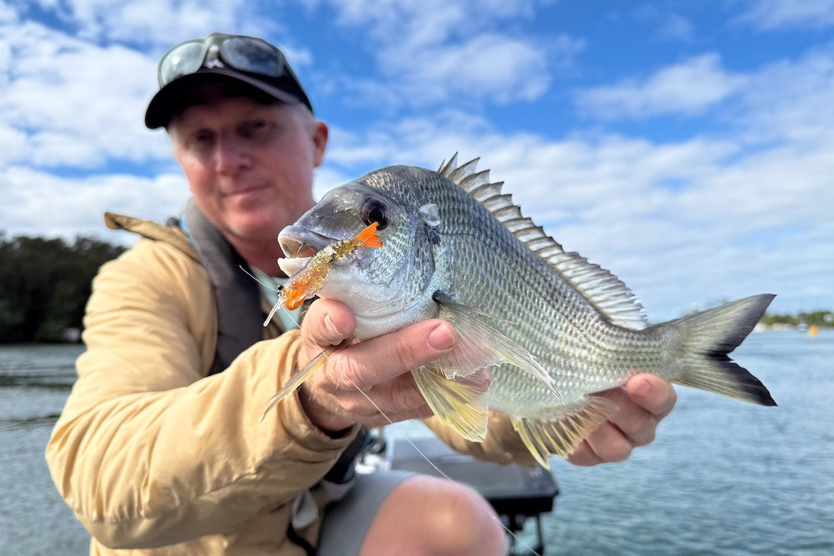 FINESSE FISHING