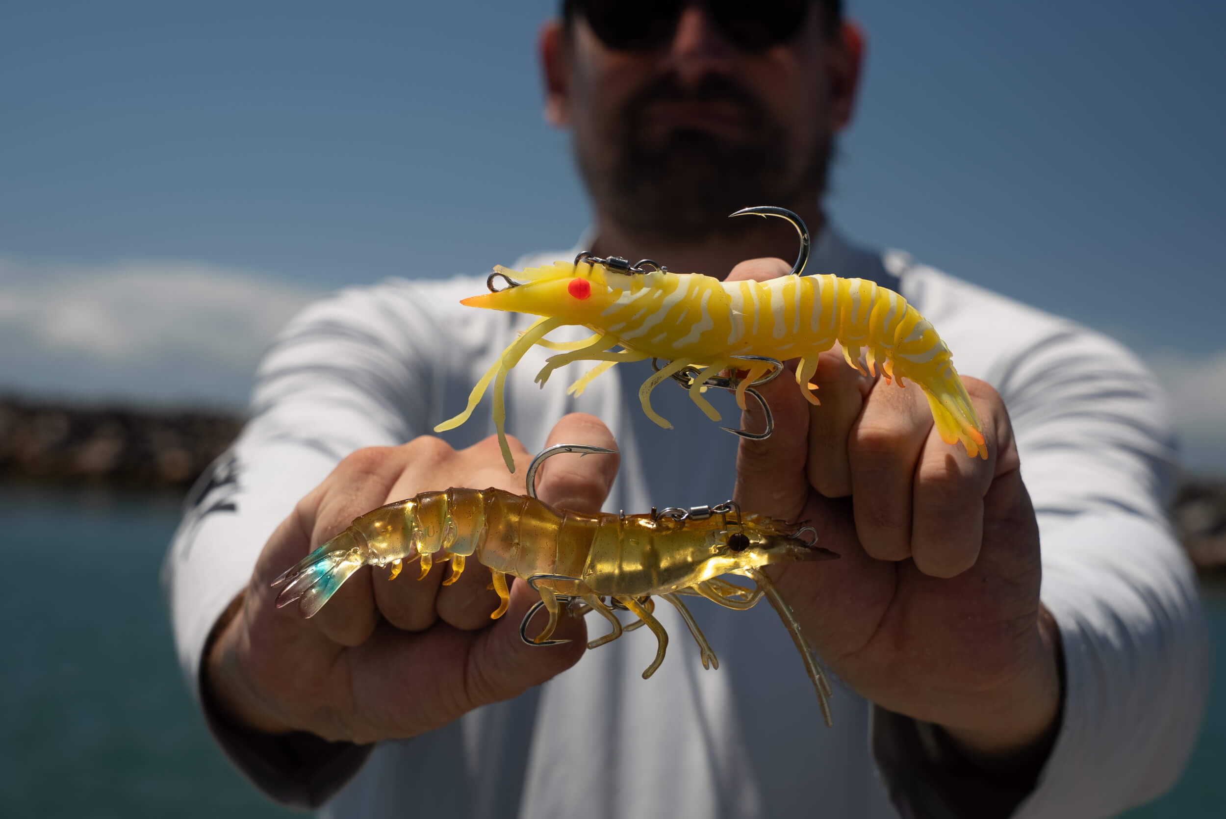 Live Ops Sumo Shrimp Rigged