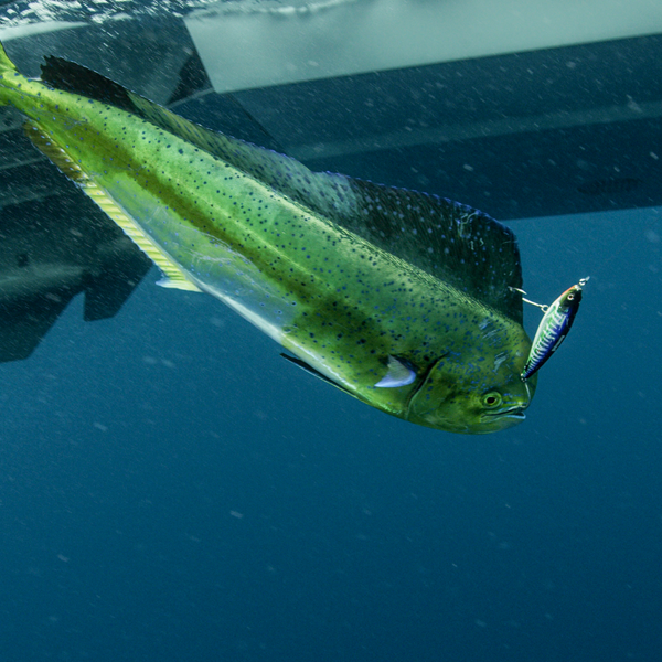 Madscad Offshore Casting