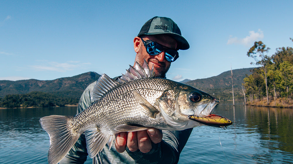 Bass & Yellowbelly Lures - Hardbaits & Softbaits