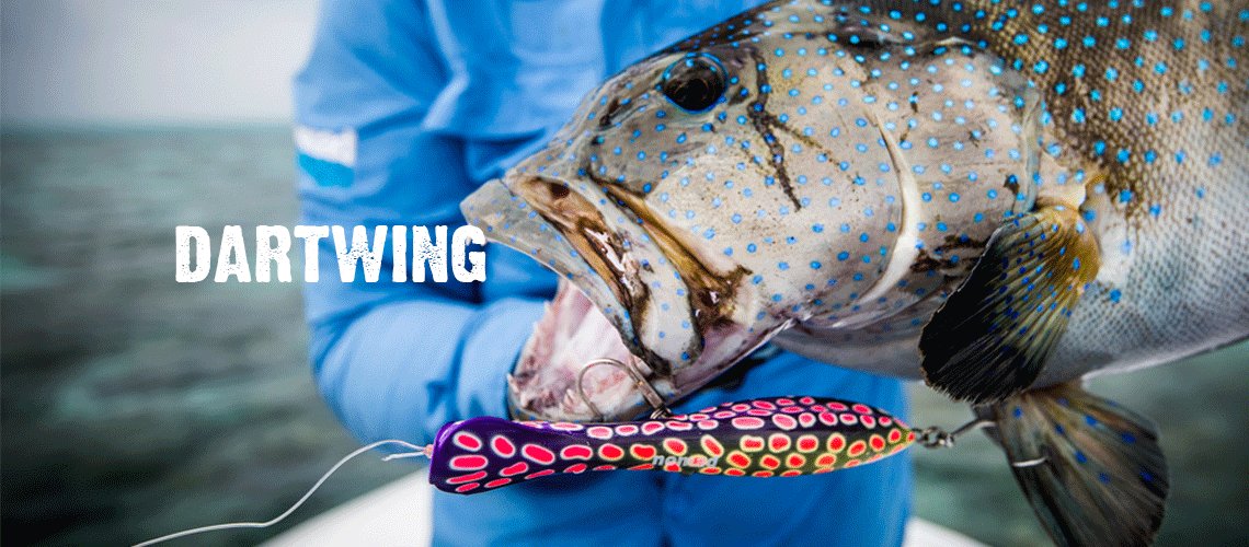 Dartwing