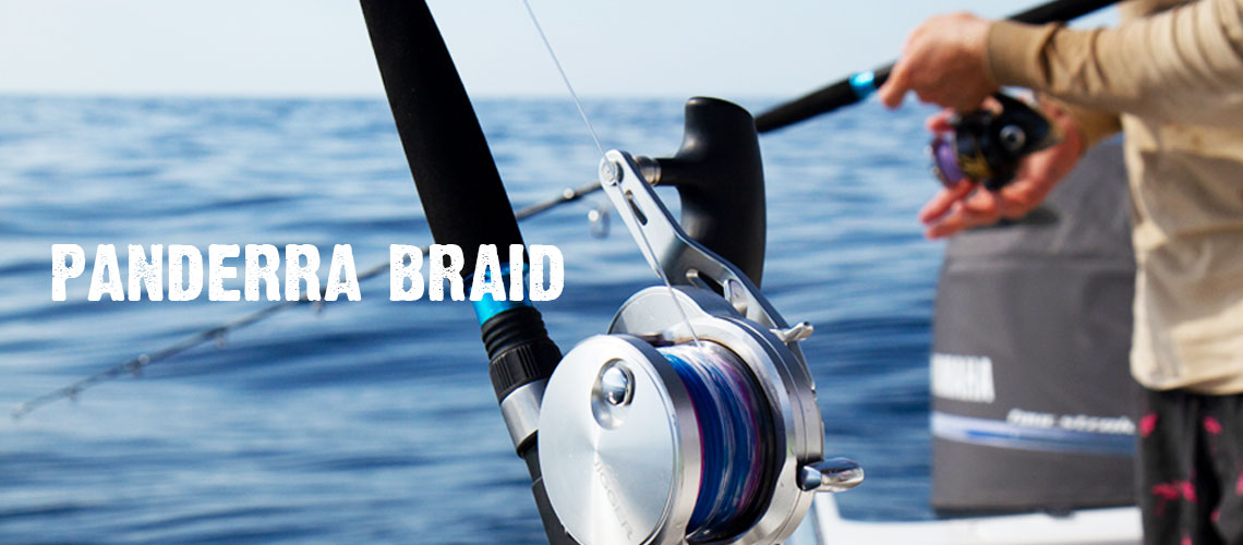 Panderra Braid