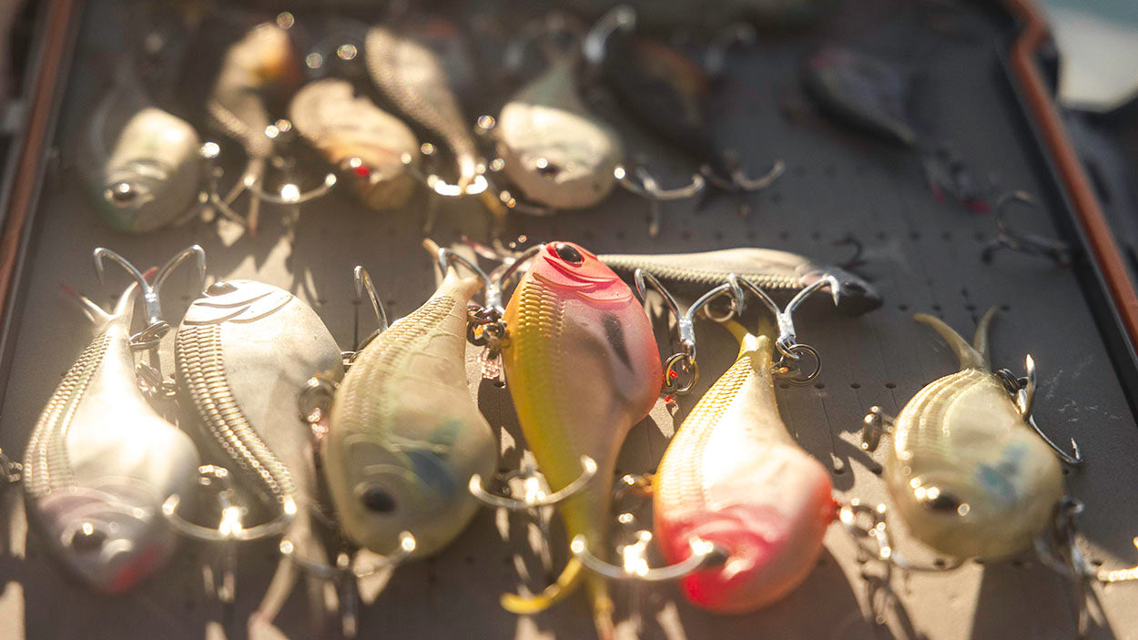 SOFT LURES
