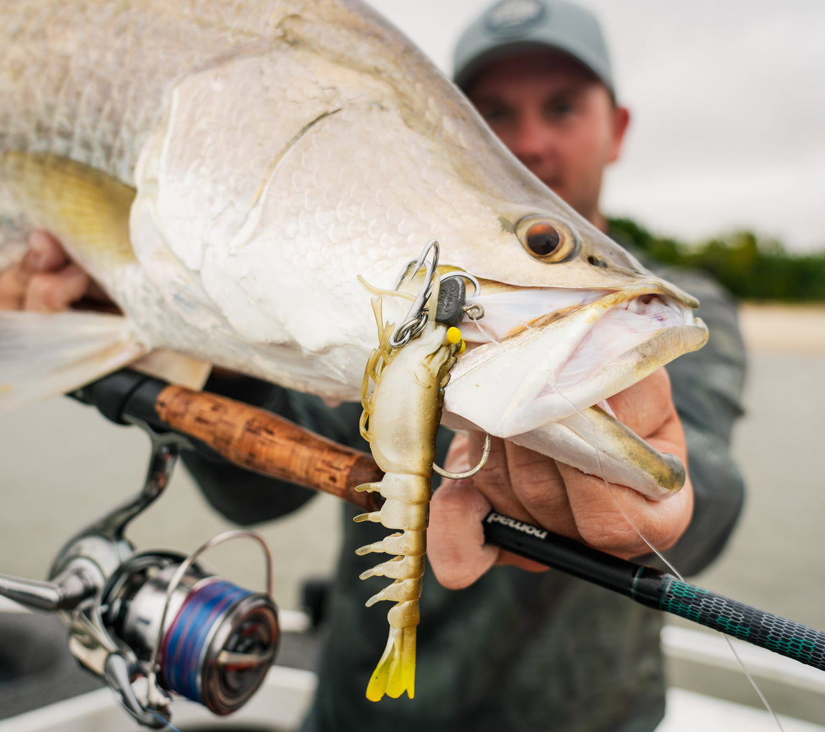 Barramundi Shrimp