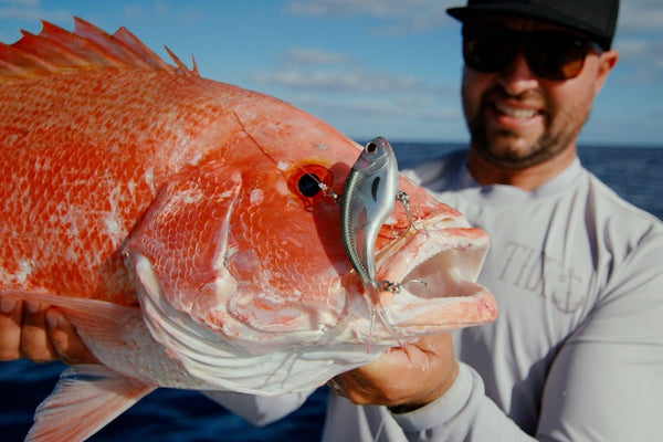 Offshore Vibe Bundle