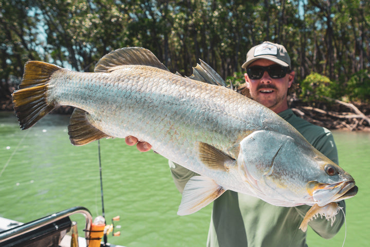 Nomad Designs Live Ops Barramundi Softbaits Paddletails and Prawns