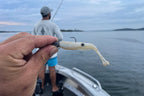 Jerksquid 3.25" Jerkshad - 6 Pack - Live Ops