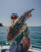 Dozer 5" Swimbait - 3 Pack - Live Ops