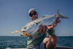 Jerksquid 5" Jerkshad - 4 Pack - Live Ops