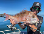 Spectre Minnow 5" Swimbait - 4 Pack - Live Ops