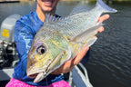 Spectre Minnow 3.25" Swimbait - 5 Pack - Live Ops