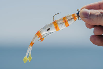 Jerksquid 7"Jerkshad - 3 Pack - Live Ops Soft Plastics