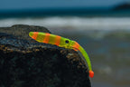 Jerksquid 7"Jerkshad - 3 Pack - Live Ops