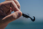 Radiax 2.25" Grub - 6 Pack - Live Ops