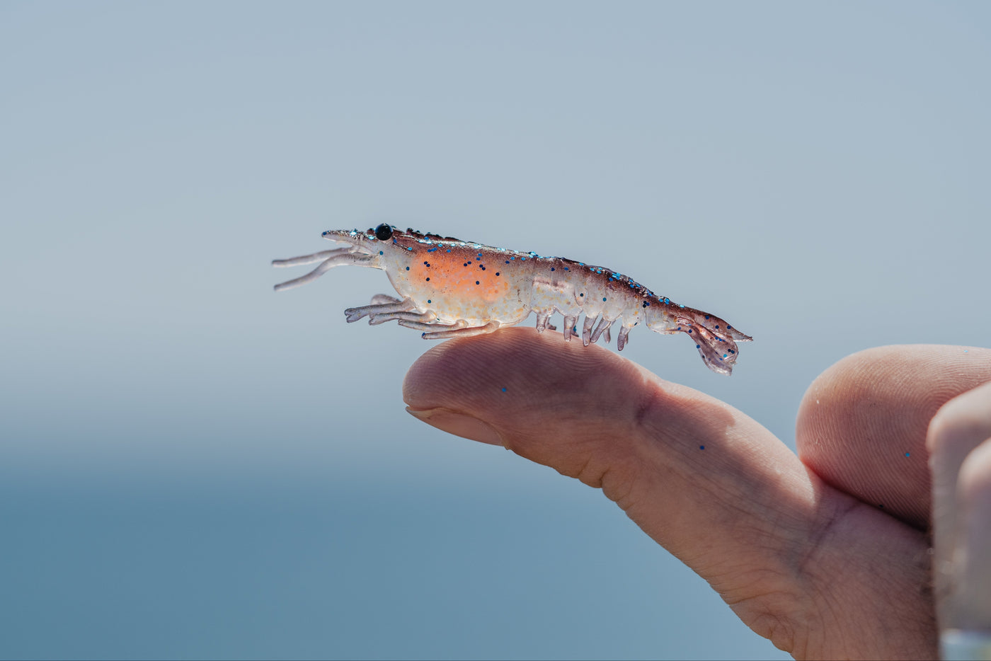 Switcher Shrimp 2.3" - 6 Pack - Live Ops Soft Plastics