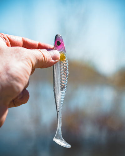 Spectre Minnow 5" Swimbait - 4 Pack - Live Ops Soft Plastics