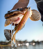 Fallout Minnow 5" - 4 Pack - Live Ops