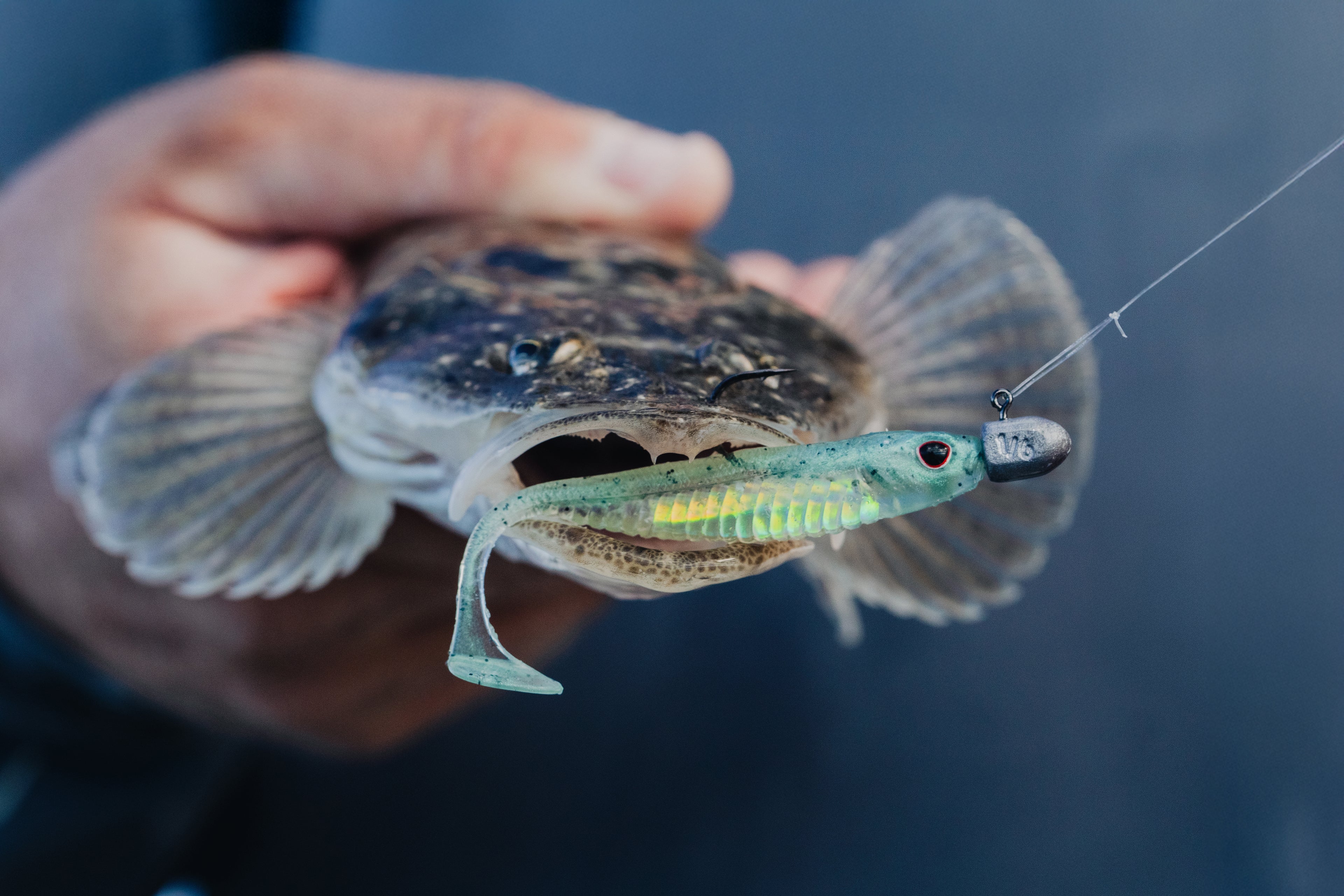 Spectre Minnow 3.25" Swimbait - 5 Pack - Live Ops