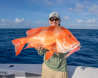 Double Down 7" Jerkshad - 3 Pack - Live Ops