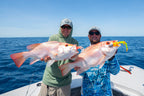 Jerksquid 9" Jerkshad - 2 Pack - Live Ops