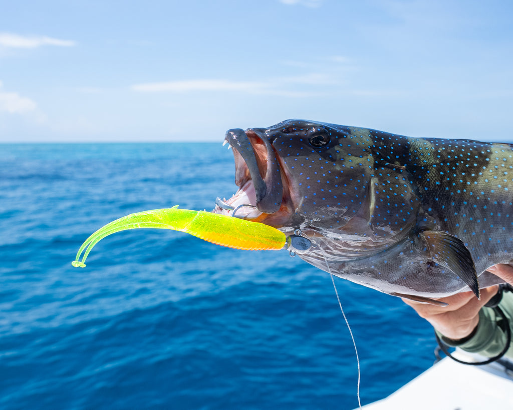 Double Down 4" Jerkshad - 5 Pack - Live Ops